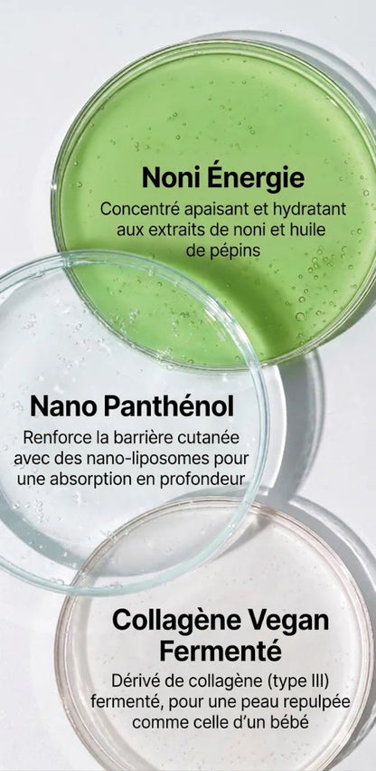 Celimax The Real Noni Energy Ampoule - Sérum Apaisant & Éclat de l'Intérieur – 30ml